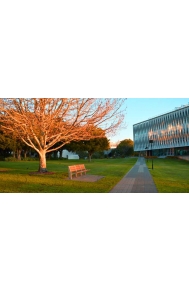 谢菲尔德大学专业课程有哪些