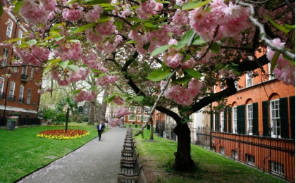 英国买房新发现伦敦一区潜力区