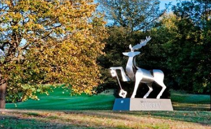 英国萨里小郡房价涨幅大