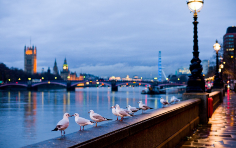 投资英国房产该如何选择？