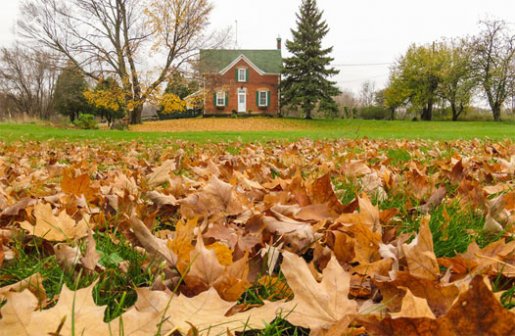 在曼城索尔福德大学附近租房怎么选择区域？