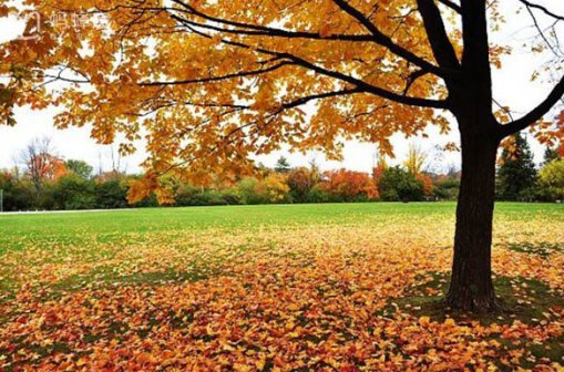 考文垂租房如何保护自己的合法权益？