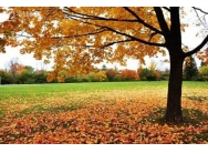 2018年英国大学排名Top前十